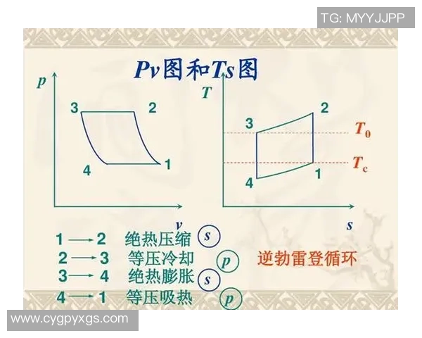 西安篮球队在比赛中的控球策略与失误分析探讨 西安篮球队在比赛中的控球策略与失误分析探讨